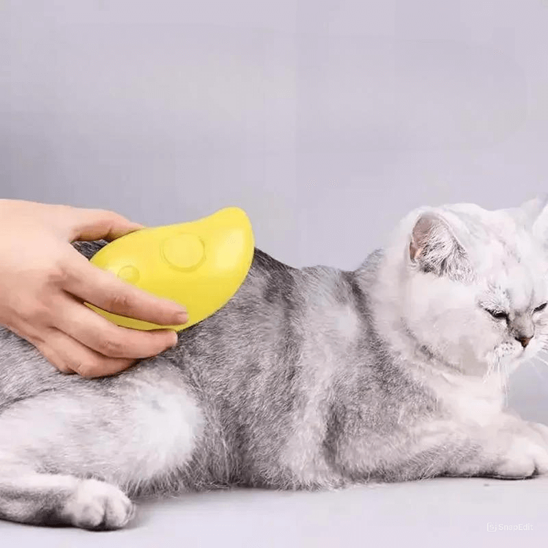 ESCOVA A VAPOR PETS