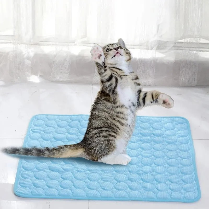 TAPETE REFRESCANTE PET